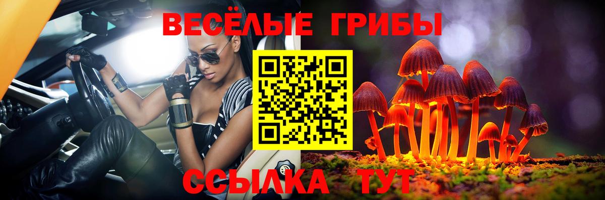 Галлюциногенные грибы Psilocybe  Вход с VPN  Нижний Тагил 